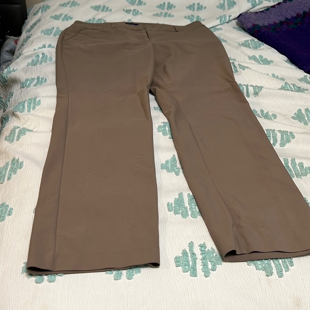 Apt 9 pants